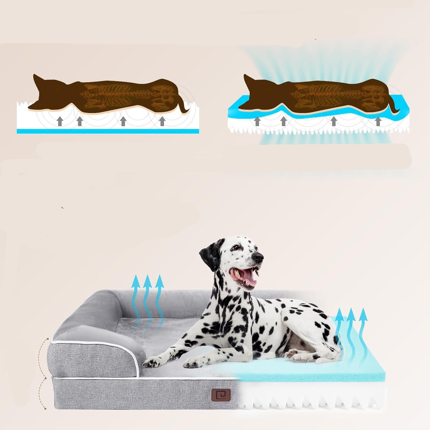 Cama Ergonómica para Perros
