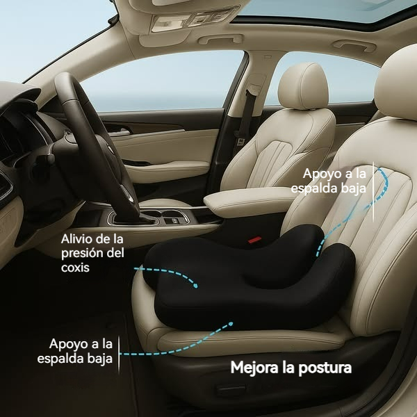 Cojín de Confort Postural