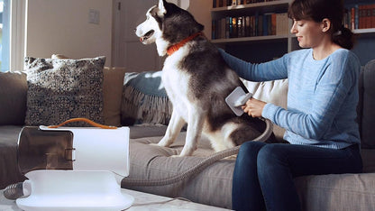 PetClean Pro 5 en 1 - Aspiradora de aseo para perros