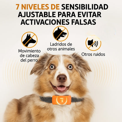 Collar Antiladridos Inteligente