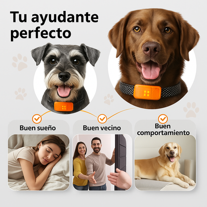 Collar Antiladridos Inteligente