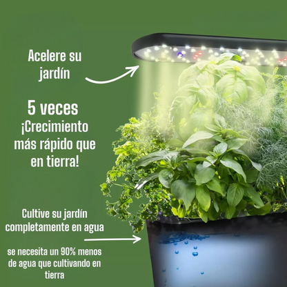 Indoor Automatizado