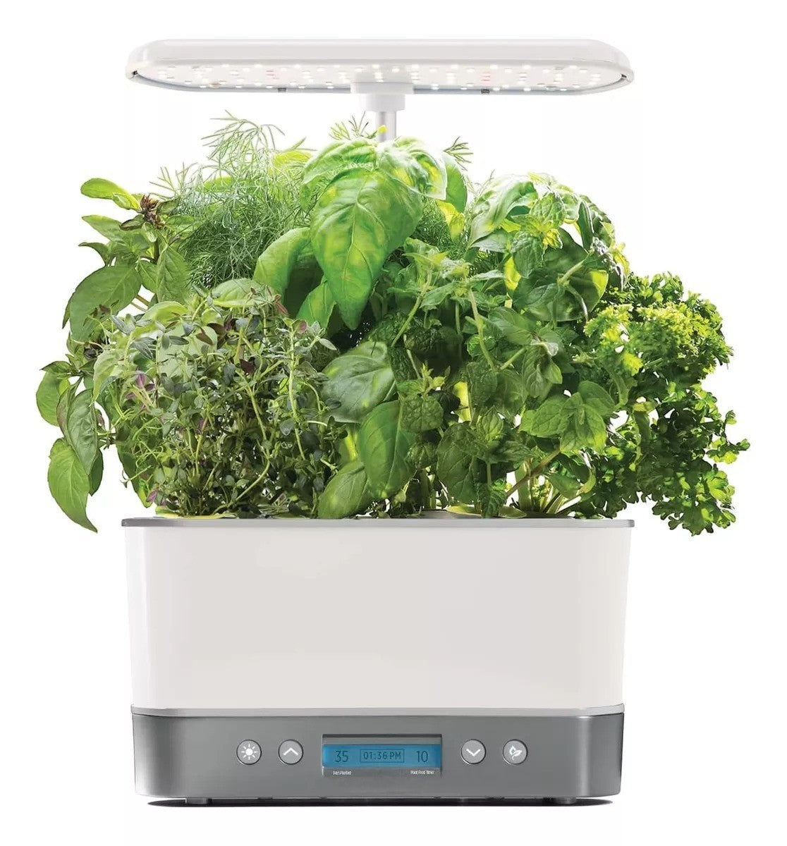 Indoor Automatizado