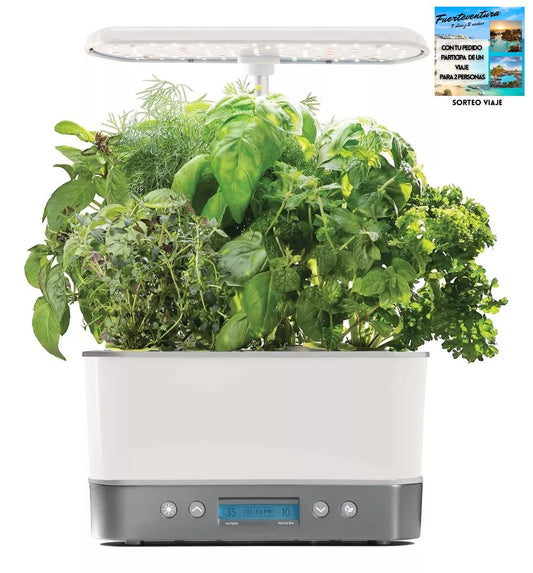 Indoor Automatizado