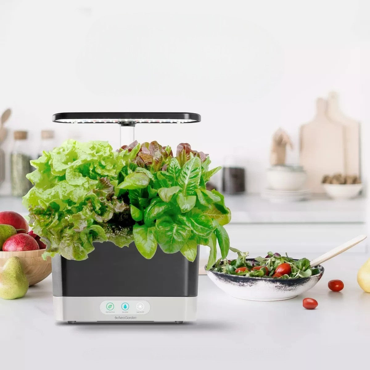 Indoor Automatizado