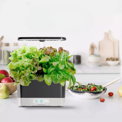 Indoor Automatizado
