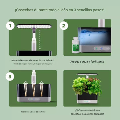 Indoor Automatizado