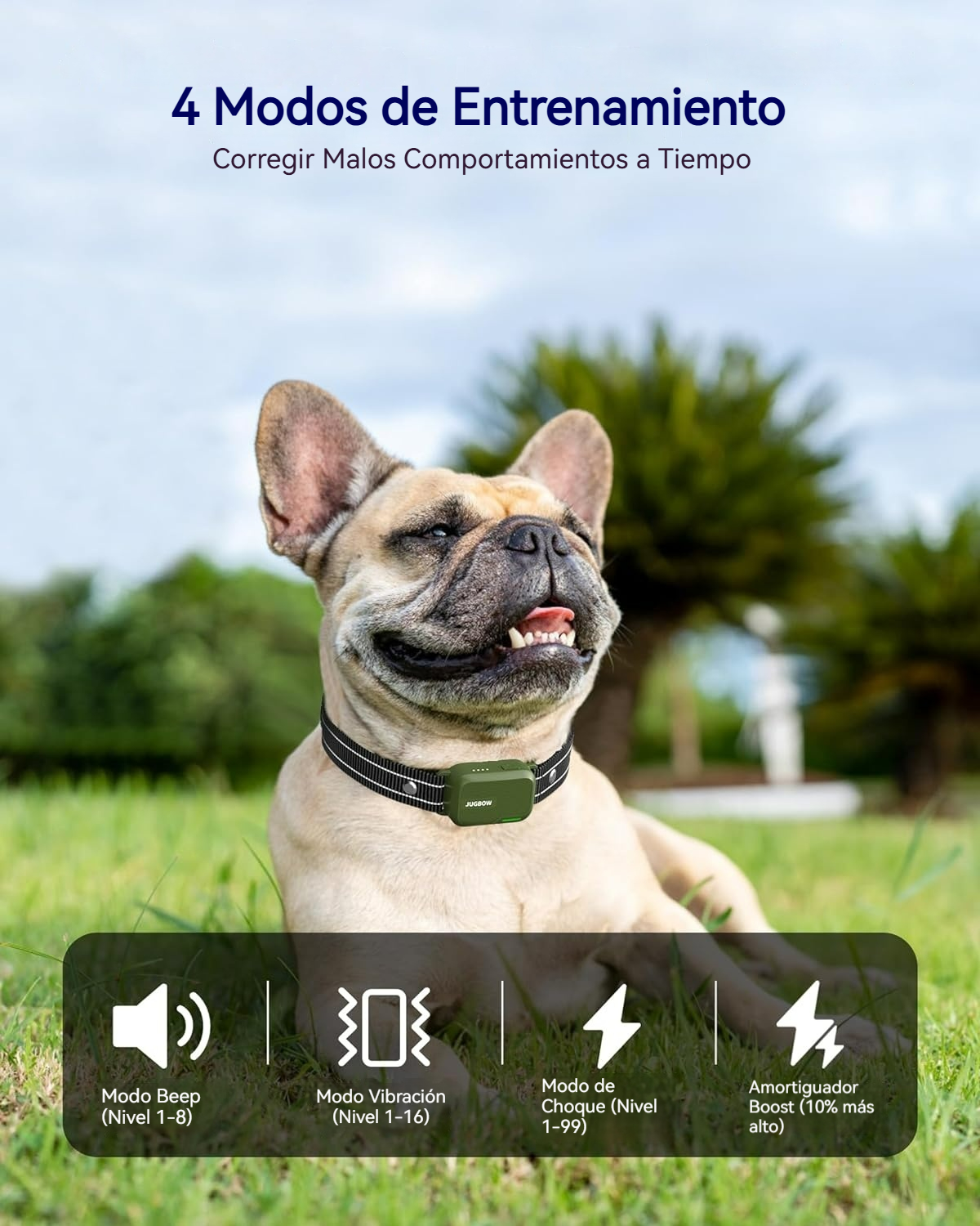 Collar de Entrenamiento Canino