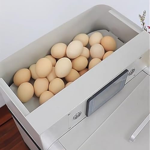 Maquina de Omelettes