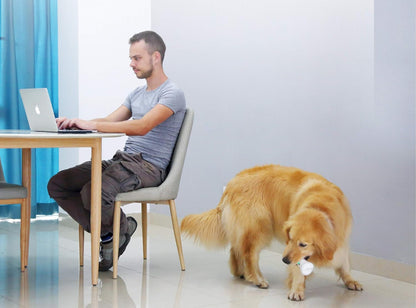 Juguete Inteligente Para Mascotas