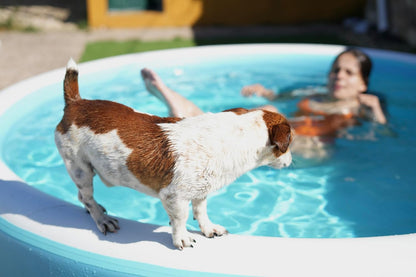 Piscina inflable amplia