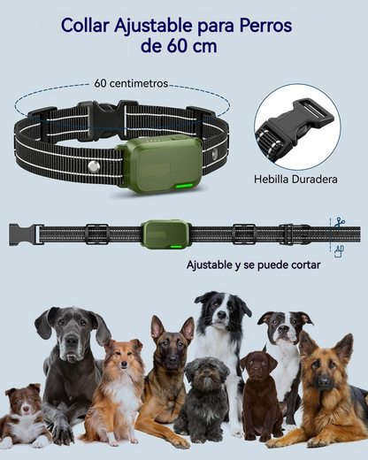 Collar de Entrenamiento Canino